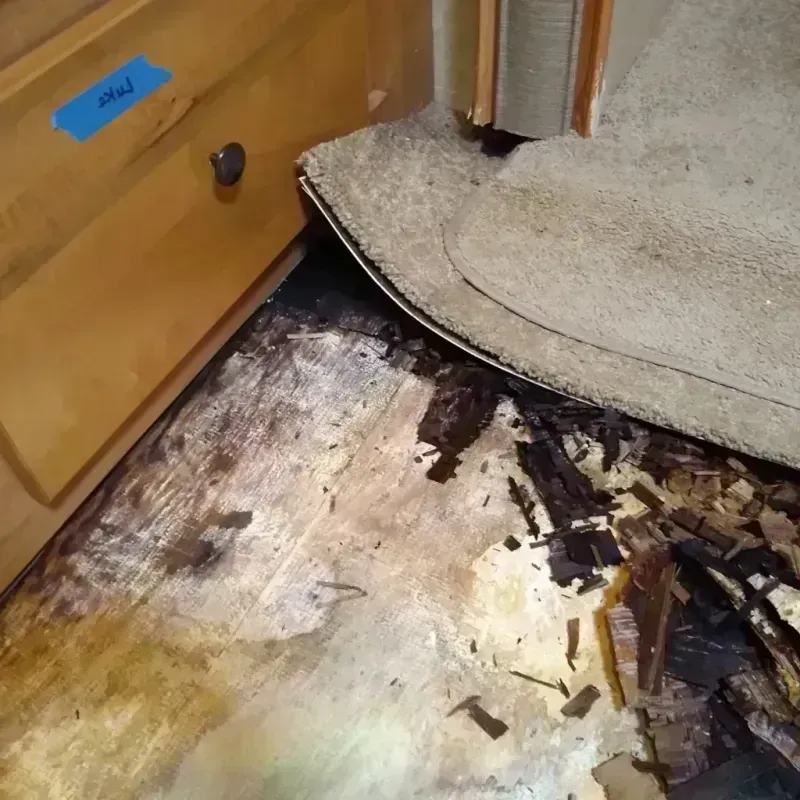 Wood Floor Water Damage in Hettinger, ND